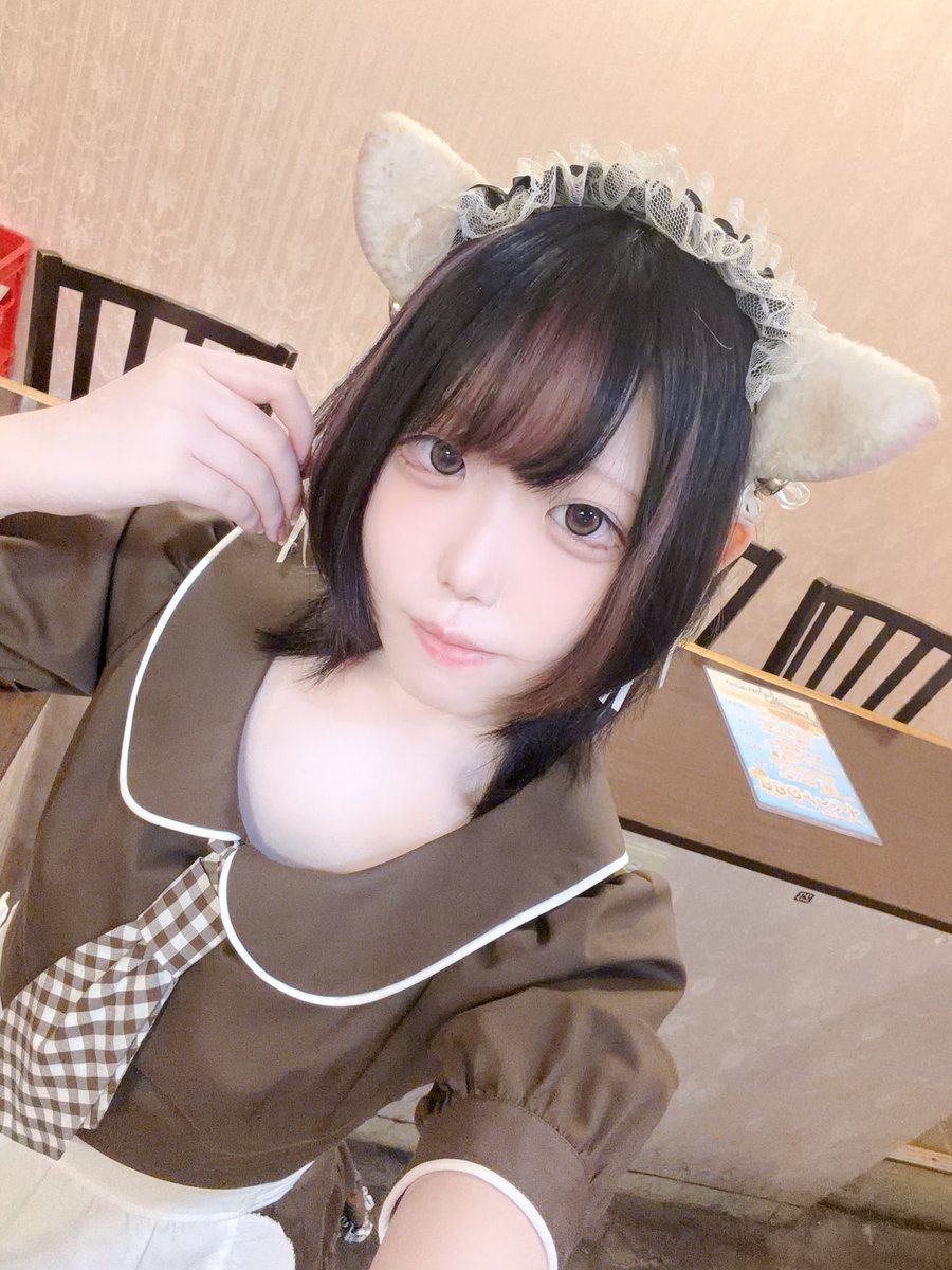 nyankomaidcafe's tweet photo. のあ🔰おきゅいん❣️19時までです、ぜひ会いにきてください🐱💭
#コンカフェ #札幌狸小路 https://t.co/ArepPGUsUL