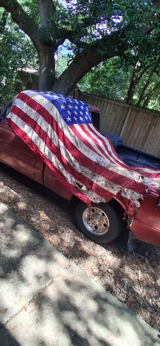 DChaneler's tweet photo. Happy 4th of July!🎇🎆 It don't get no more independent than this right here. https://t.co/IZO3HY7yMK