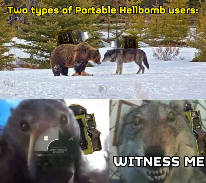 Helldivers_NOW's tweet photo. Which one are you? https://t.co/PEKFaGXjsG