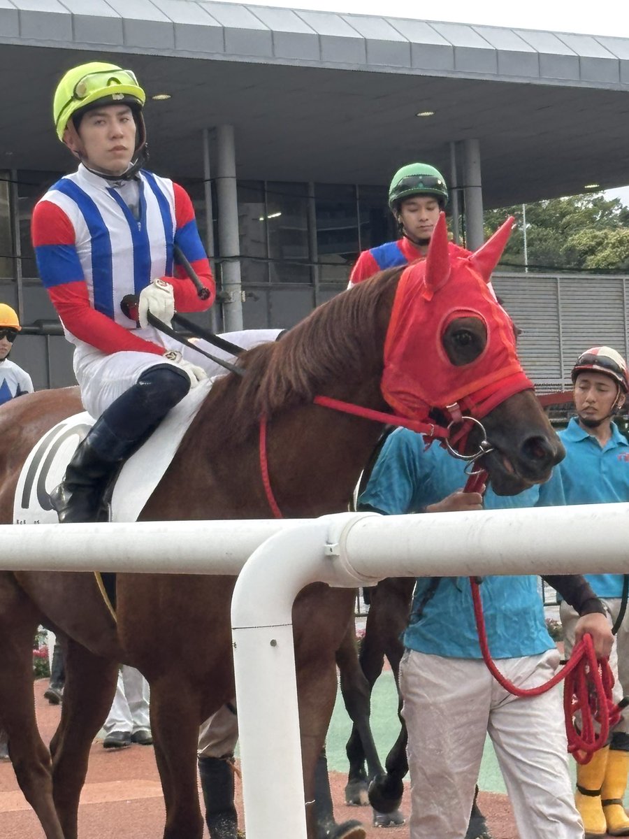 satomix_satotan's tweet photo. 大井開催4日目パドック🐎
安藤洋一騎手
西優哉騎手
西啓太騎手
千田洋騎手 https://t.co/k7y5TomXhN