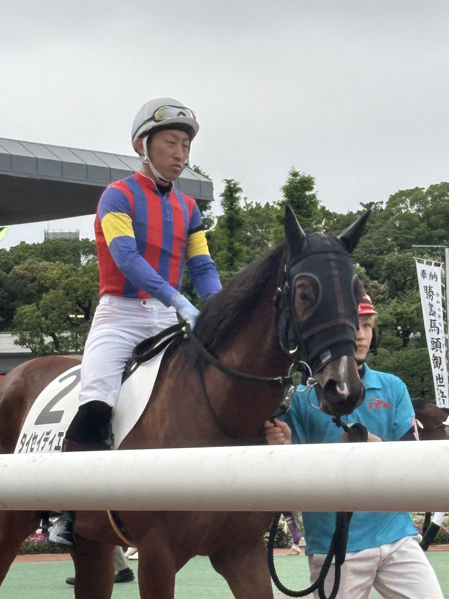 satomix_satotan's tweet photo. 大井開催4日目パドック🐎
安藤洋一騎手
西優哉騎手
西啓太騎手
千田洋騎手 https://t.co/k7y5TomXhN