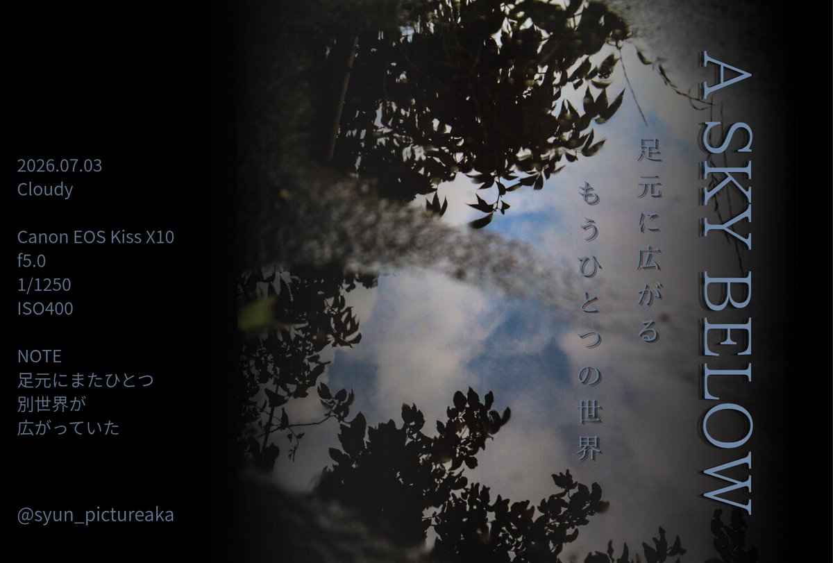 syun_design's tweet photo. 雨上がりの暗さをポスター風にしてみました
 #写真撮ってる人と繫がりたい 
 #日常ポスター https://t.co/T70wfEriwF