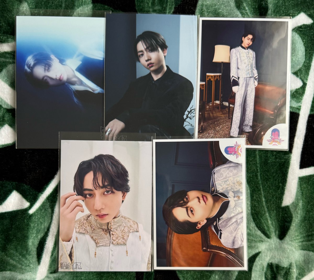 ちろり tweet media