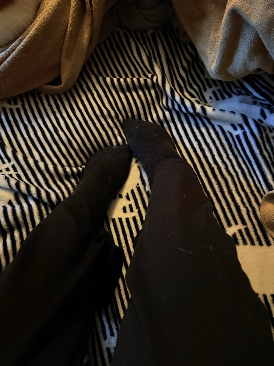 MySweetSecretss's tweet photo. hii babyyyy come support my new FeetFinder, and tell me all the things you want me to do for my content!!!🤭 https://t.co/Lf3dUJJ28R