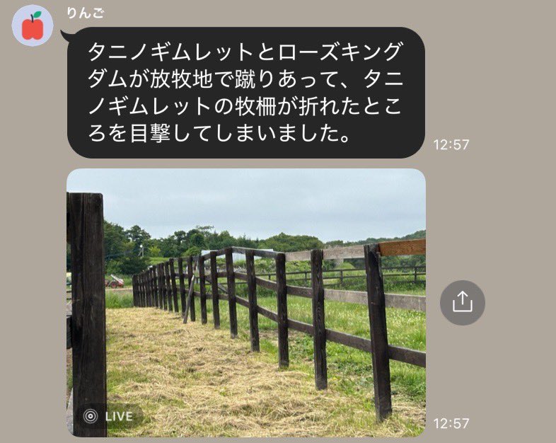 Versailles_Farm's tweet photo. 【タニノギムレット 9号HRのお知らせ】

昨日未明、スタッフより

「タニノギムレットとローズキングダムが放牧地で蹴りあって、タニノギムレットの牧柵が折れたところを目撃してしまいました。」

……との報告が届きました😅

なお2ヶ月ぶり、9号目のHRとなります。
そして、本馬はいつもどおり、かすり傷ひとつなく元気に過ごしております。

#タニノギムレット
#ローズキングダム
#破壊神 
#Yogiboヴェルサイユリゾートファーム