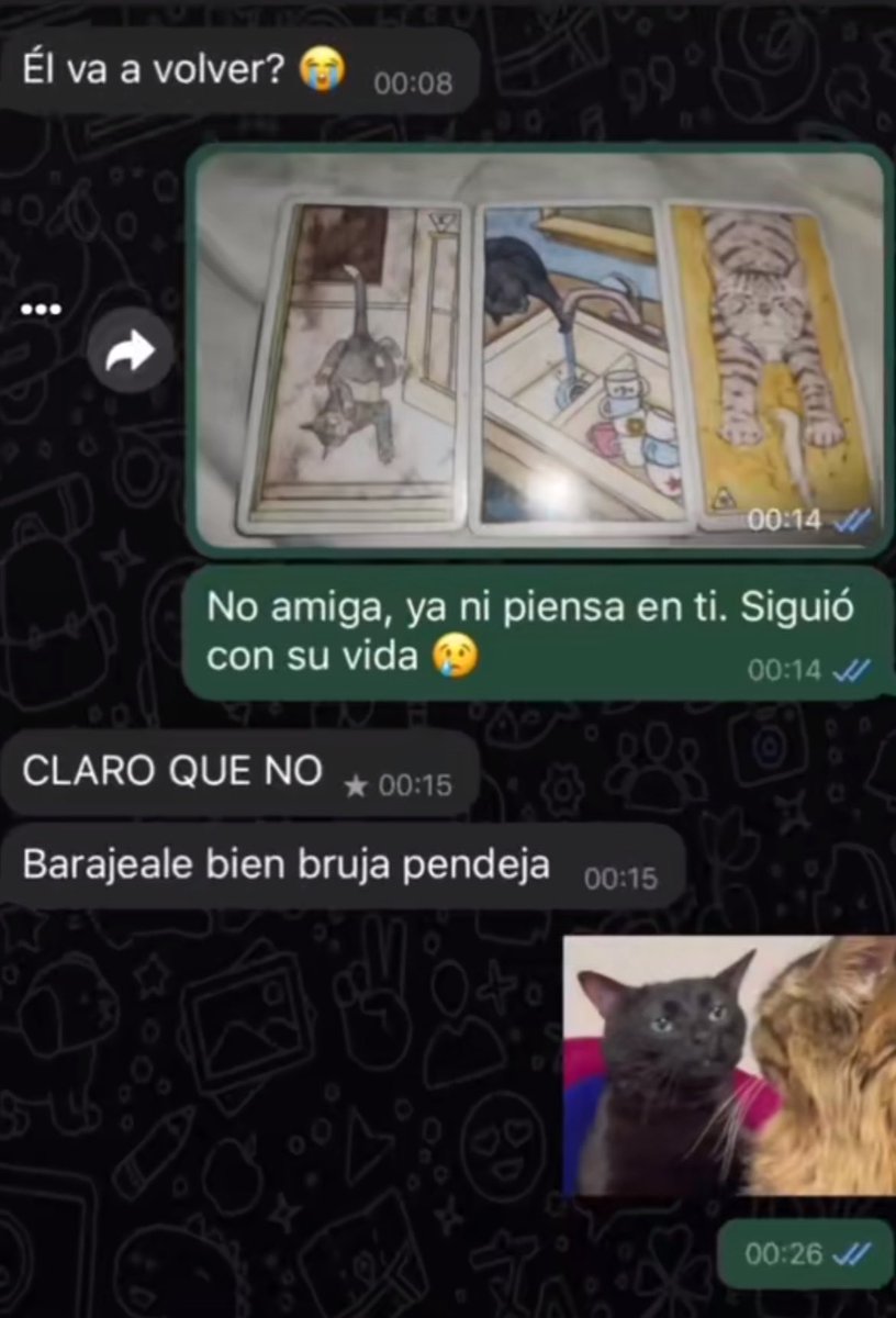menaa se cree tarotista🇲🇽 tweet media