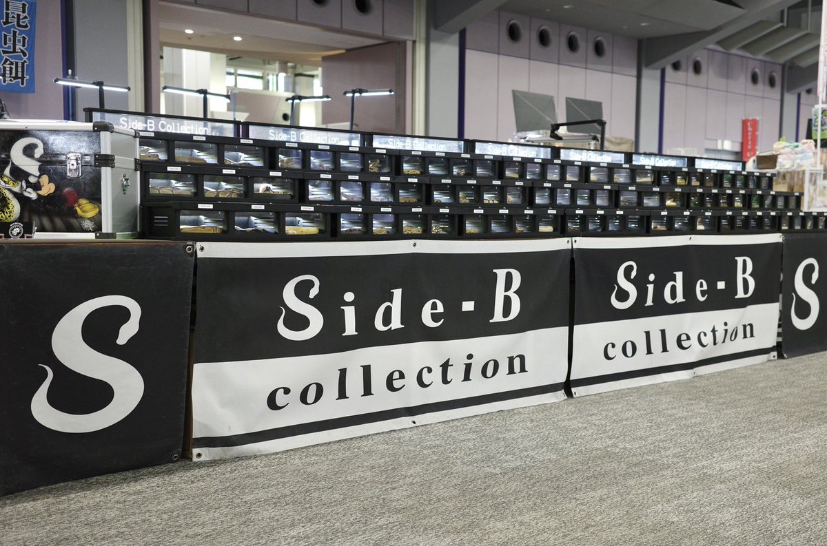 SideBCollection tweet picture