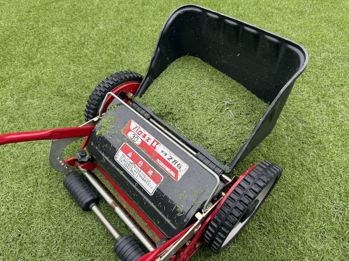 gardendiycom's tweet photo. 芝刈り13mmダブル完了💨
もう少し目土入れたいし、スパイキングもしたいんだけど、また雨降ってきたしタイミングが合わない😇 https://t.co/mL9g6gM27l