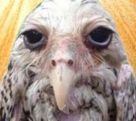 i4celly's tweet photo. Mas nn é possível q todo e qualquer filho da puta decidiu q não vai me atender hj https://t.co/ekWtnUF5eC