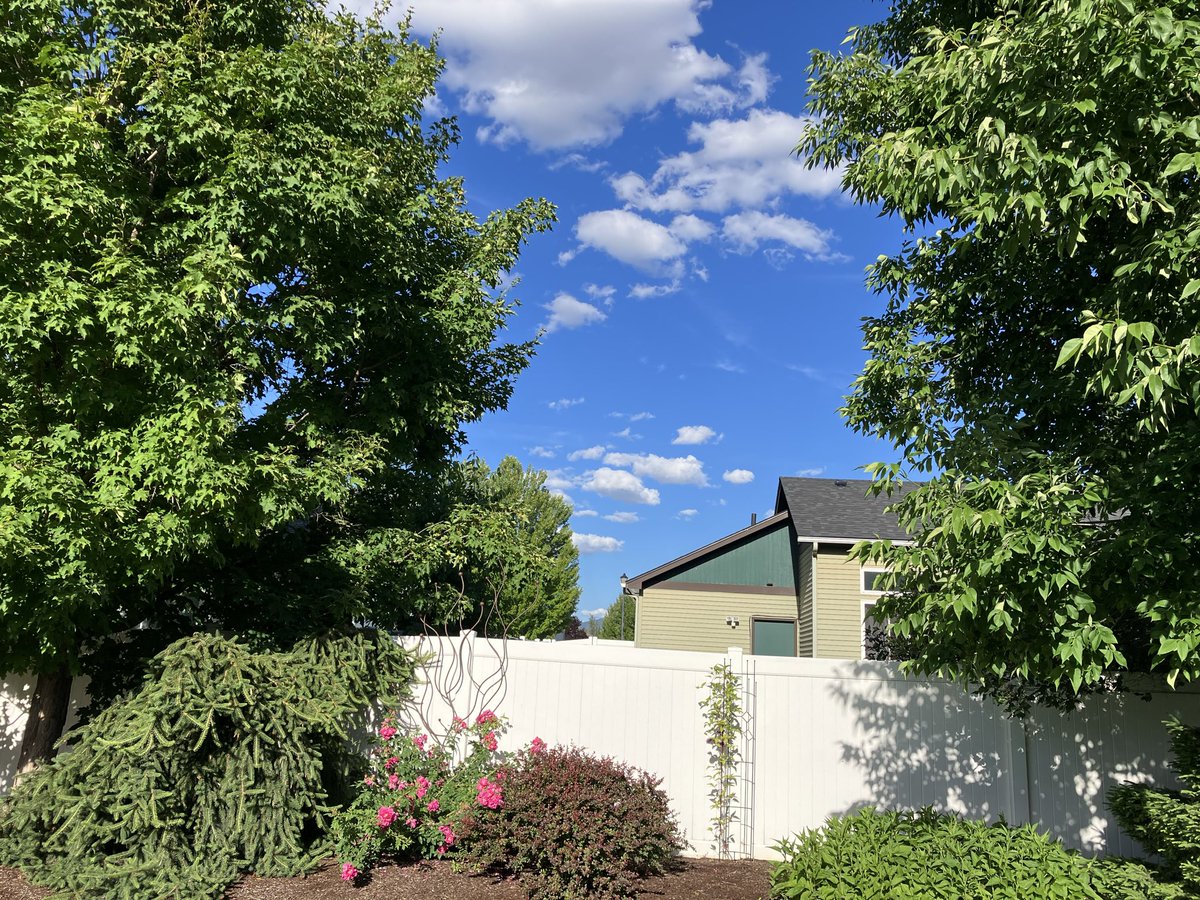 TinaSwannack's tweet photo. Aw, Toy Story clouds in Spokane, WA today. #taylorswift https://t.co/6DFS8RzvED