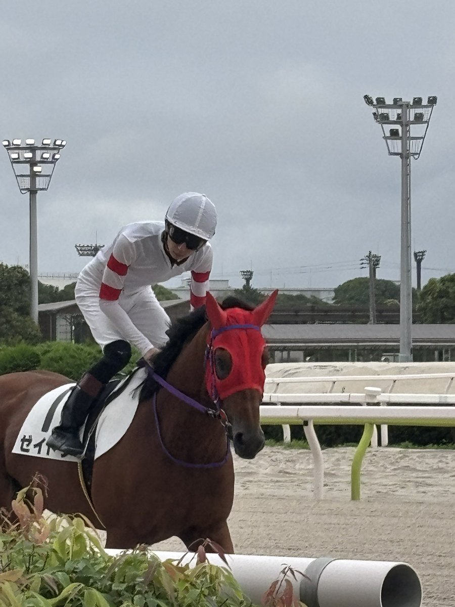 satomix_satotan's tweet photo. 大井開催4日目本場馬🏇
江里口裕輝騎手
西優哉騎手
藤田凌騎手
江里口裕輝騎手 https://t.co/MUFoVnfSQR