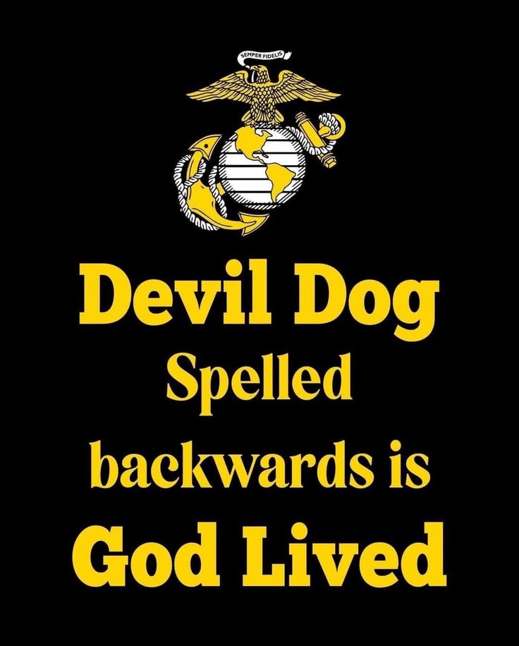 Jingoman111's tweet photo. 💯🇺🇸🇺🇸🇺🇸🇺🇸🇺🇸 Semper Fi! 🇺🇸🇺🇸🇺🇸🇺🇸🇺🇸💯 https://t.co/BlOWHLa283
