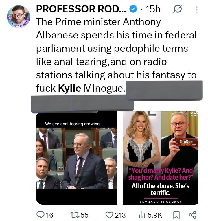 PrivateSpring02's tweet photo. Australian PM #AlboMP has a long time fascination about anal sex. His education classes to 8 year olds in 2024 about anal sex being  fun is well known.
@piersmorgan @AnaKasparian 
@RealCandaceO @davidicke https://t.co/2FzlITknX5