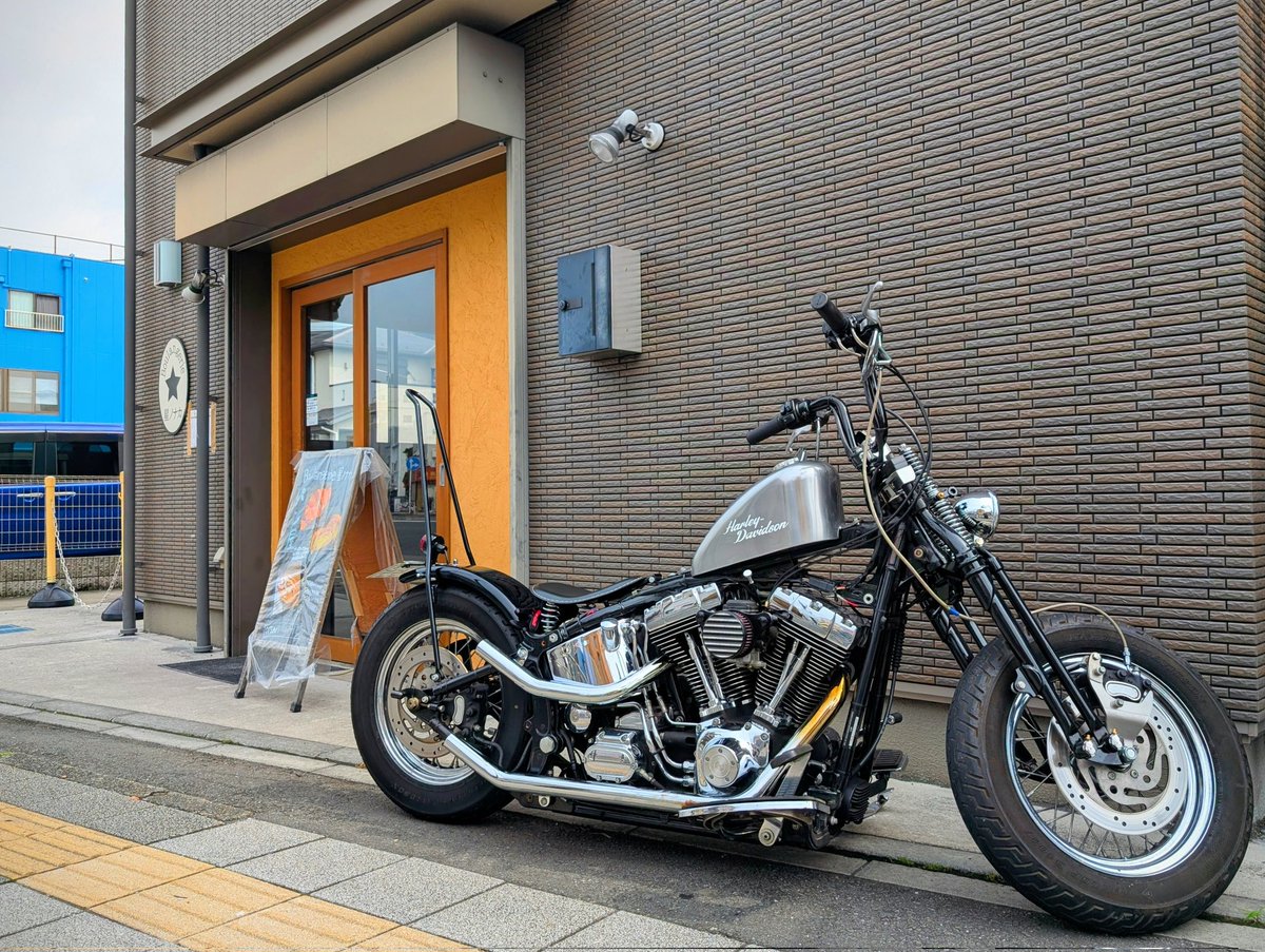 TOUCHBULL's tweet photo. ちょっとハンドル角度調整とミラーを下向けに変更😄明日は☔らしいので試運転がてら近所を走った後にいつものパン屋へ💨
#harleydavidson
#flstc
#tc88
#chopper https://t.co/2cogTYfMdK