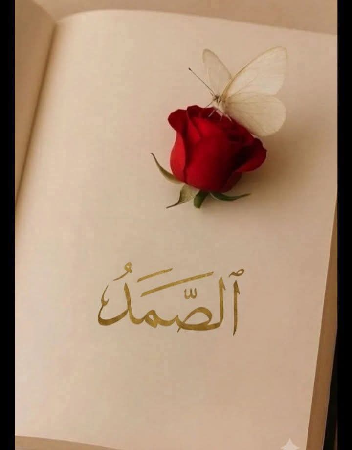 gs_northern's tweet photo. احبک یا اللہﷻ،

مجھے آپ سے محبت ہے اے اللہﷻ
مجھے پسند ہے ، آپ کا یوں میری حمایت کرنا
مجھے محبت ہے ، اِس احساس سے کہ میں آپ سے قریب ہوں
اِس احساس سے کہ آپ ہمیشہ میرے ساتھ رہیں گے
میری طرف متوجہ ہوں گے ، اور مجھے سنتے رہیں گے
اے اللہﷻ۔۔! آپ ہی کی محبت (تو) دائمی ہے۔ https://t.co/3FiUDAEm0n