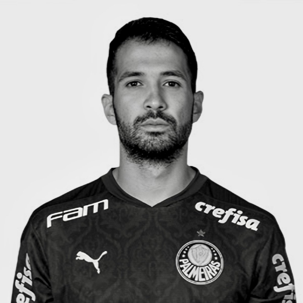 deprepalmeiras's tweet photo. https://t.co/ylpqfXZ3Kc