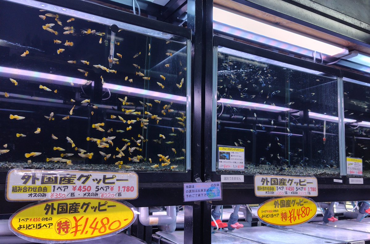 半田 水 園