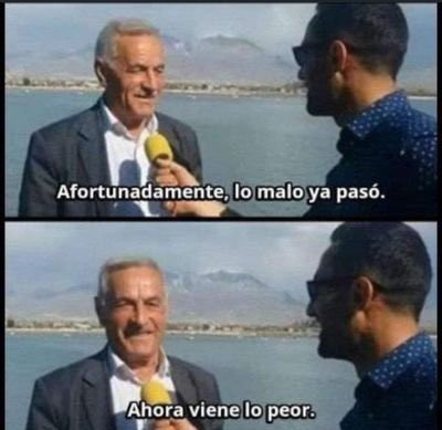 mauro 🪖 tweet media