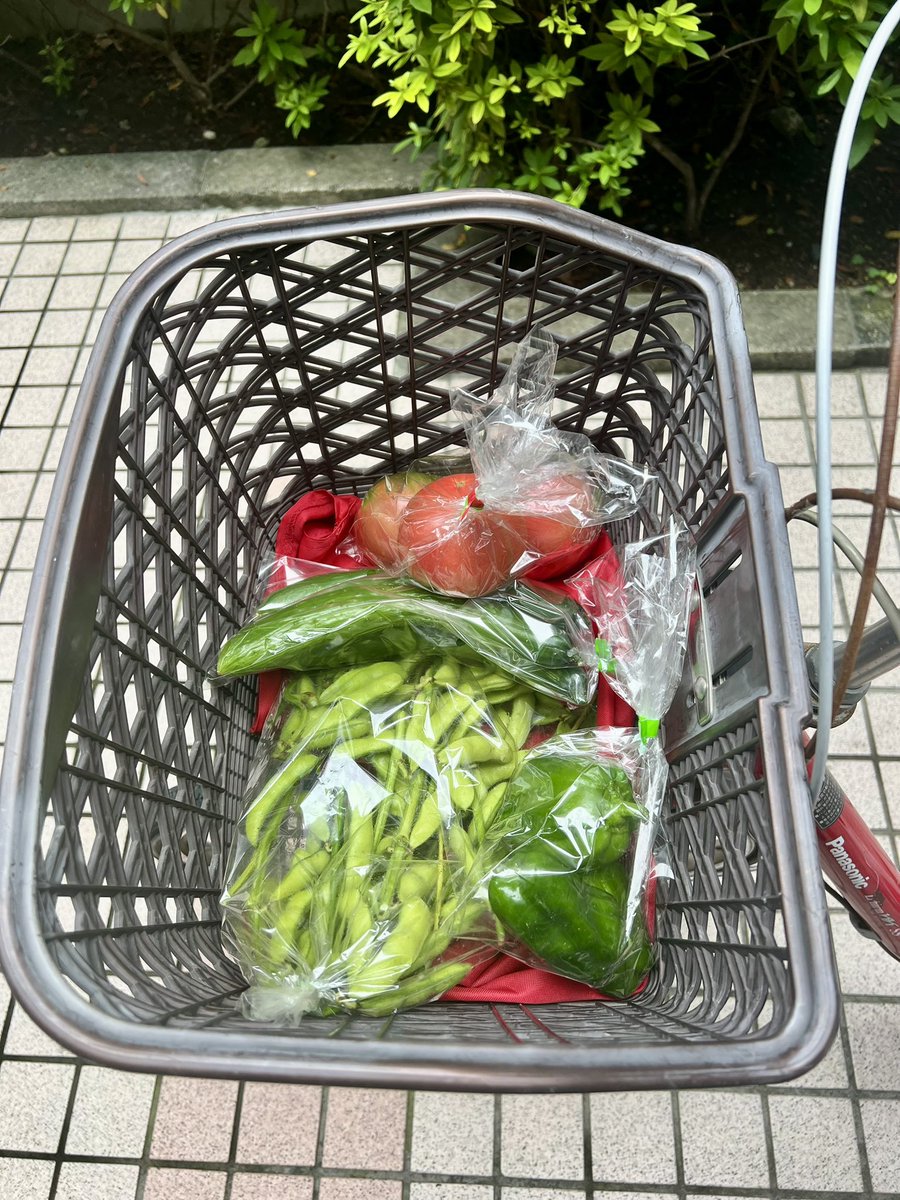 oyaman's tweet photo. 朝イチで野菜直売所まで見に🚲
えだまめがありました🫛
他は🍅🥒🫑で計900円 https://t.co/wzQhysFczz