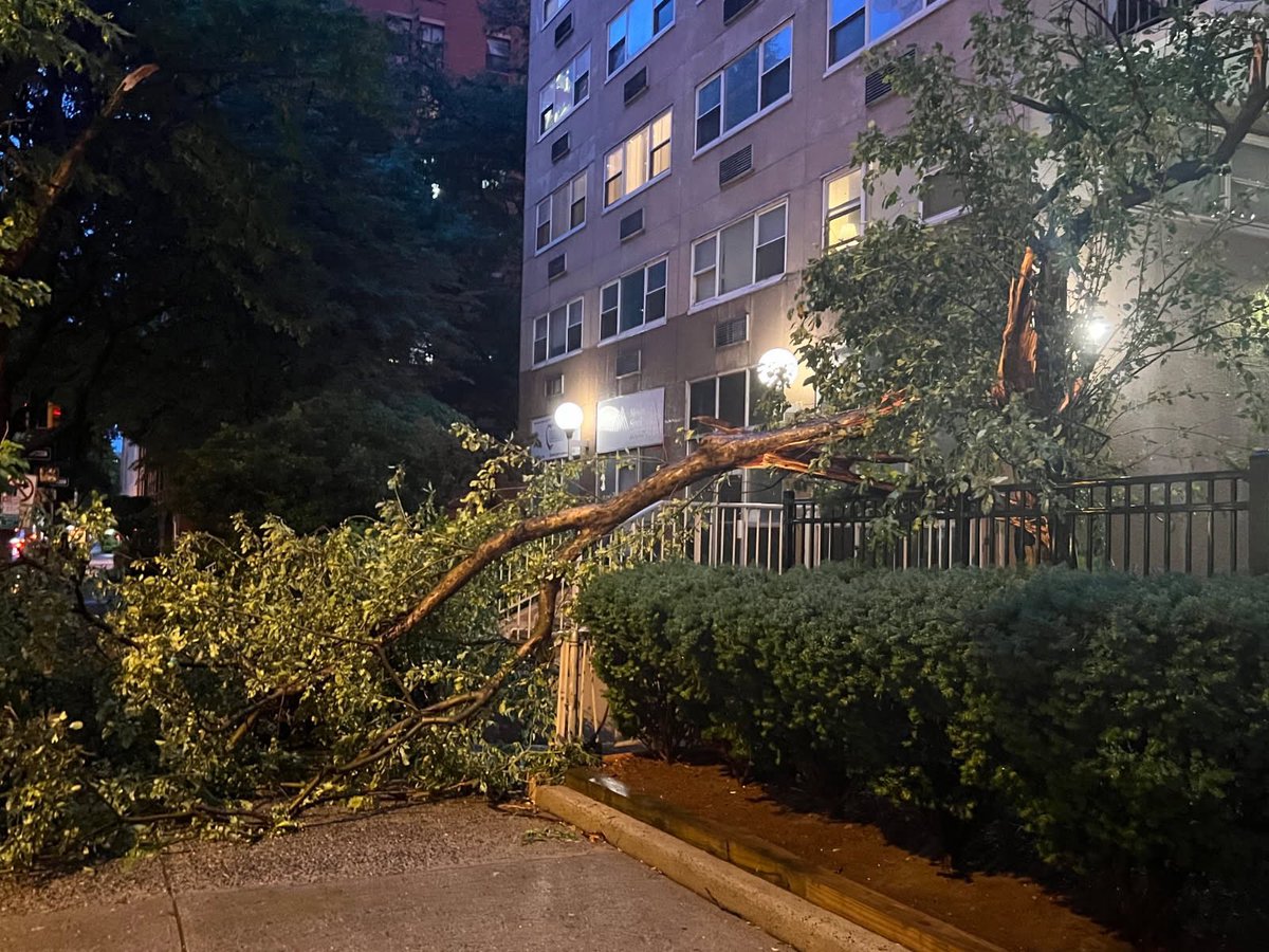 Hoboken OEM tweet media