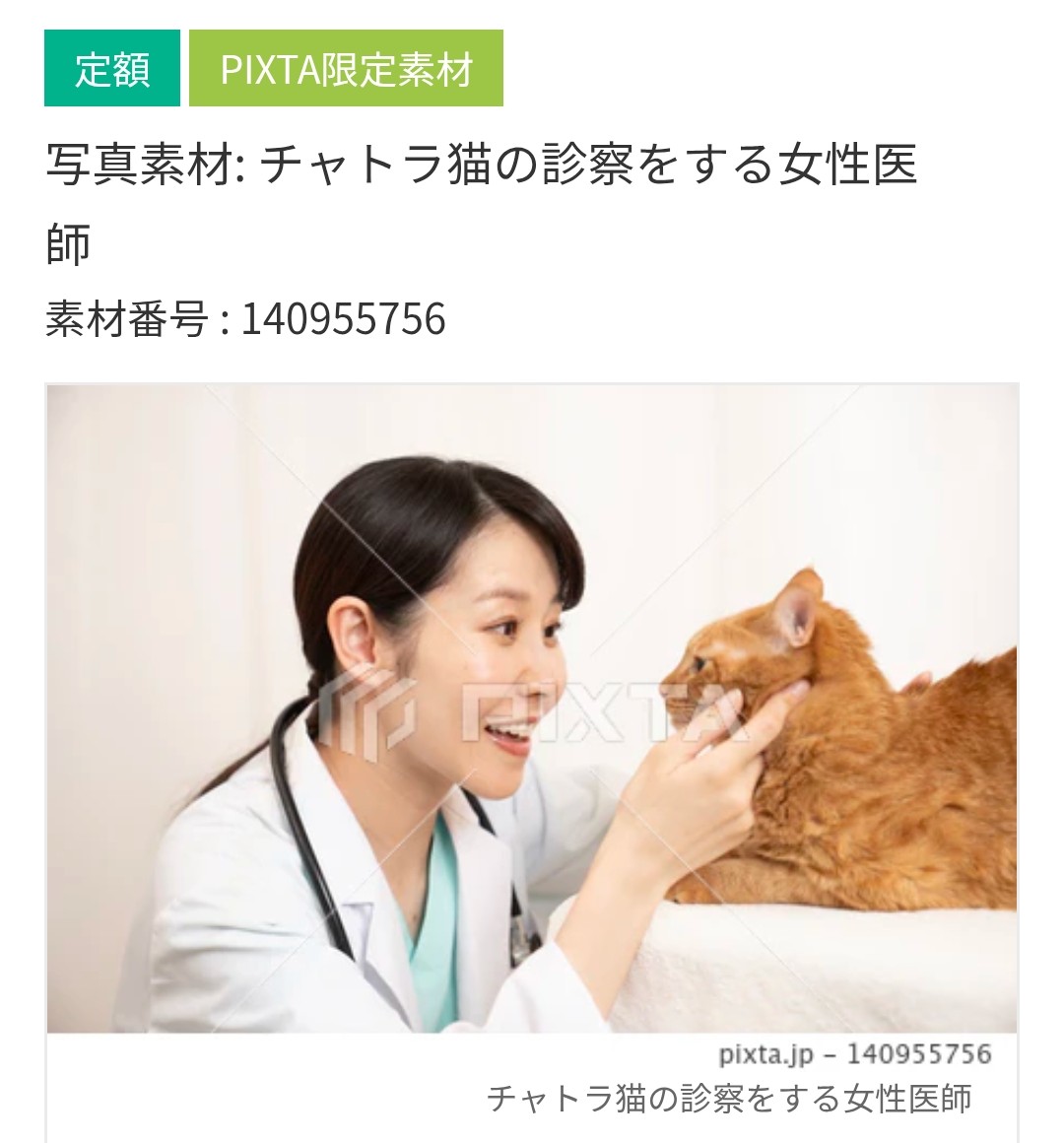 blueocean007's tweet photo. https://t.co/0iRYLD6OKj
「茶トラ猫の診察をする女性医師」の写真素材をPIXTAで販売しています。よろしくお願いします。
#PIXTA
#診察
#動物病院
#茶トラ猫
#獣医師 https://t.co/rZ7u1cPOnm