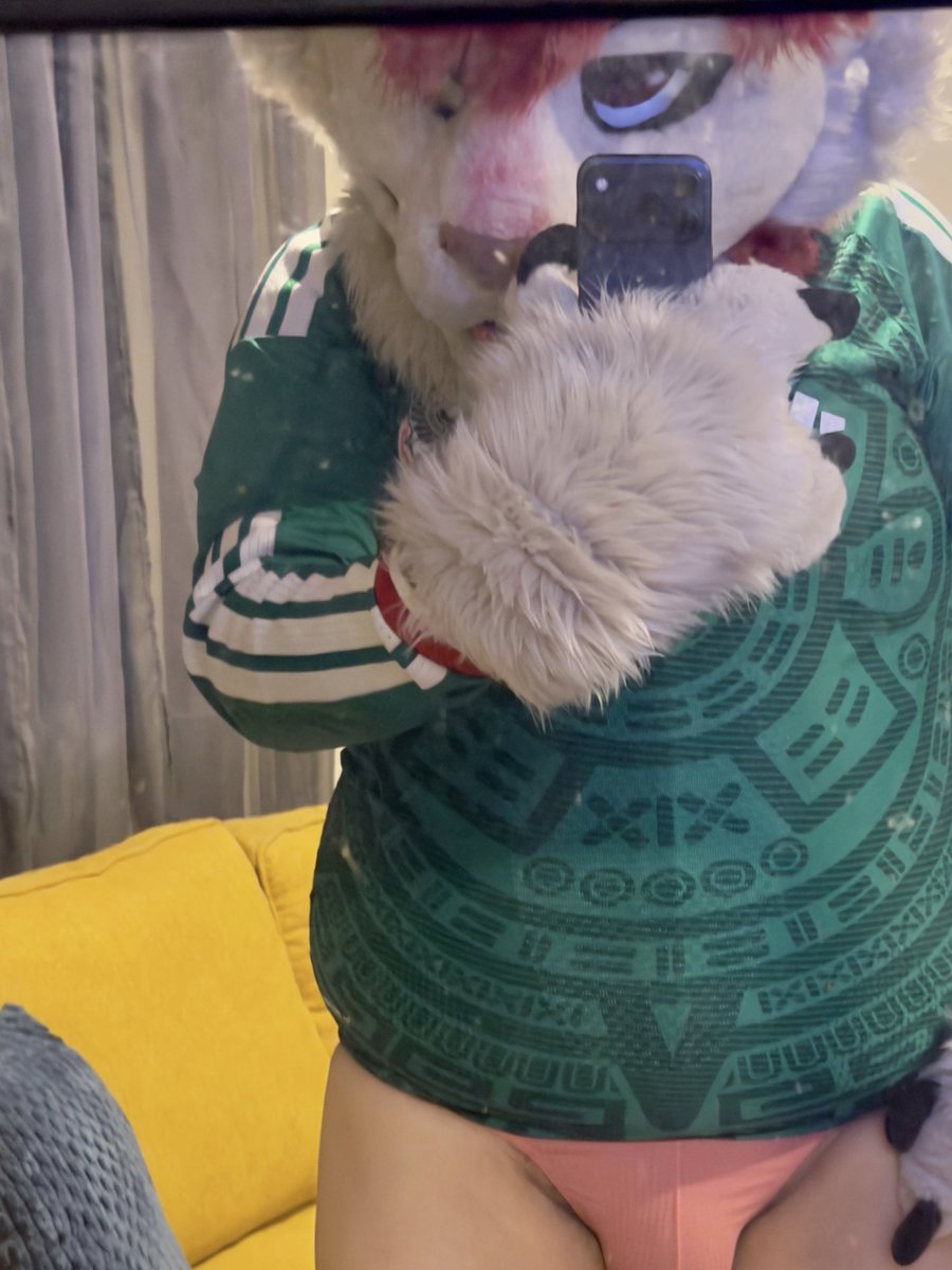 MaxTHoF's tweet photo. ⚽️🇲🇽🐻‍❄️¿Que vamo a hacer? 
#fursuitfriday https://t.co/89UXNkb97r