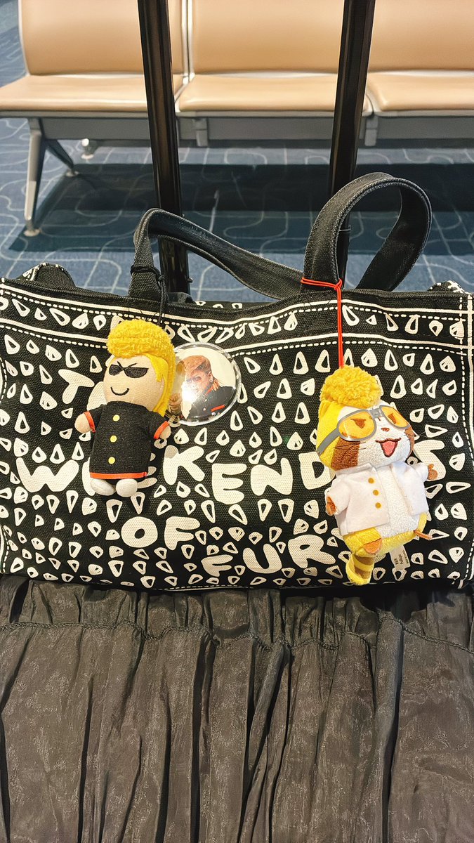 tomomi_rockshow's tweet photo. 秋田へGO✈️ https://t.co/RU2HdwQxev