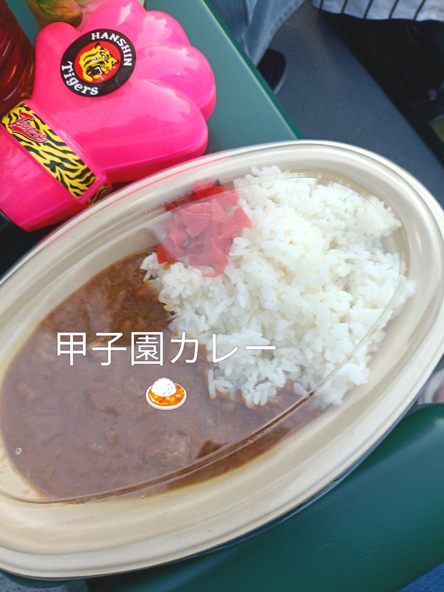 omochin_s2's tweet photo. はい🐯フェス〰
ボロ負け🥴
🐯コラボミャクちゃん連れて帰りました https://t.co/DUCM0MiQ4K