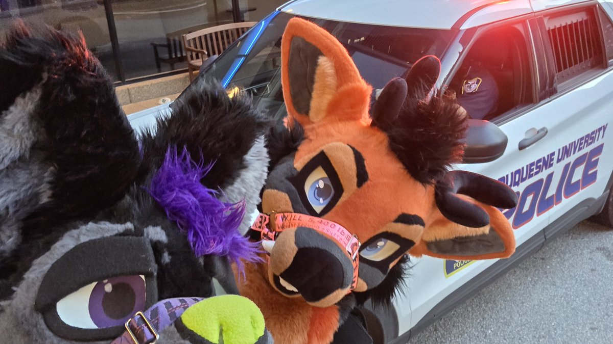 OneDumbWusky's tweet photo. Another one because @PghPolice is fucking chill asf https://t.co/umroFtmpA5