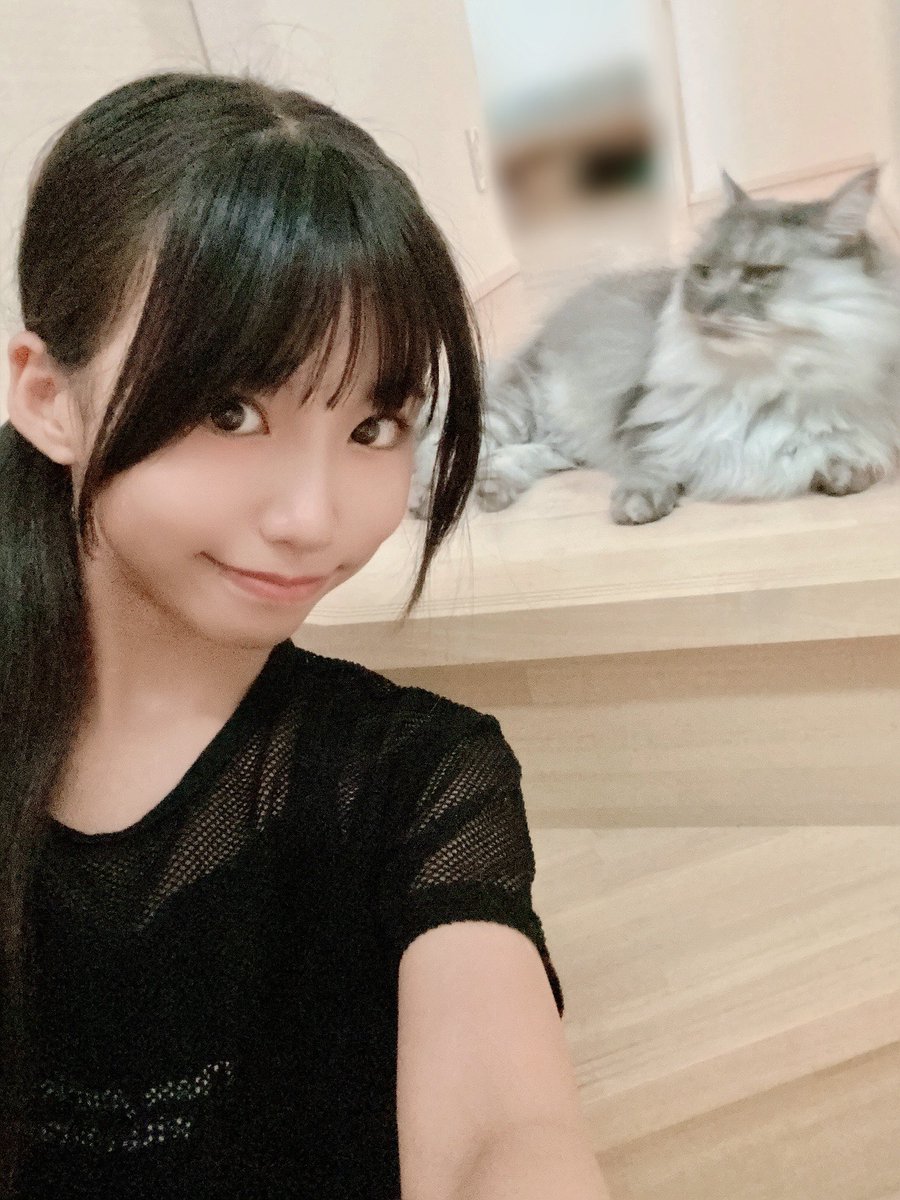 ゆリにゃ専用 おはゆずにゃん🐈☁️ 今日は東京でMERUCHUさん、名古屋ではLovelys