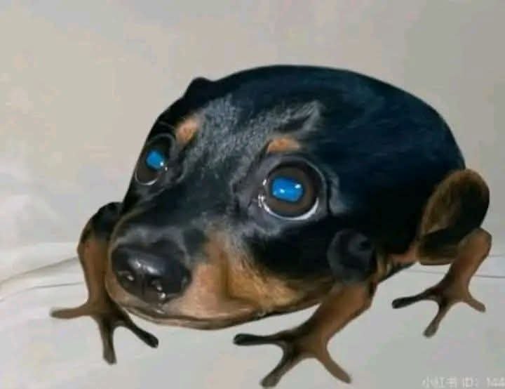 BeastDebito421 tweet media
