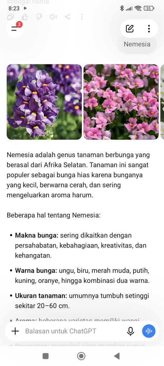 everymo_175672's tweet photo. @prettyday__ Bunga Nemesia https://t.co/V7MnloT62F