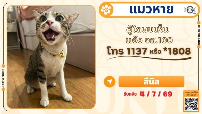 js100radio's tweet photo. แมวหายจากหมู่บ้านในซ.ลำโพ อ.บางบัวทอง จ.นนทบุรี ผู้ใดพบเห็นแจ้ง JS100 โทร *1808 หรือ 1137

รายละเอียดเพิ่มเติม : https://t.co/tyH9eZsEph

#แมวหาย #ตามหาแมวหาย #JS100 https://t.co/TN95zsB1Rs