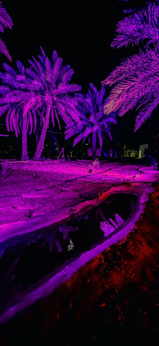 Ahmed_AL_fahad's tweet photo. أجواء الشملي.. 💜🌴
ونسيمُ ليلٍ يفيضُ برودةً وجمالًا في عزِّ الصيف.
درجة الحرارة  ٢٨° 🤍
#الشملي #حائل https://t.co/re4tB5Zvqk