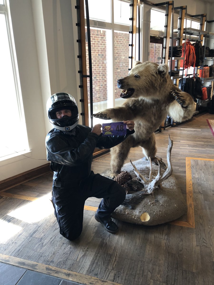 BLineatus's tweet photo. #BMWMOA #GrandCoddiwomple  visiting the bear at Jesse Brown's Outdoors store in Charlotte, NC. https://t.co/k6s8ITOaPB