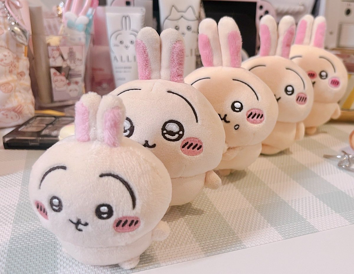 iL5h8dzPWj25966's tweet photo. 前ならえ〜❗️
🐇🐇🐇ﾔﾊ！ https://t.co/qSVqBrv3iE