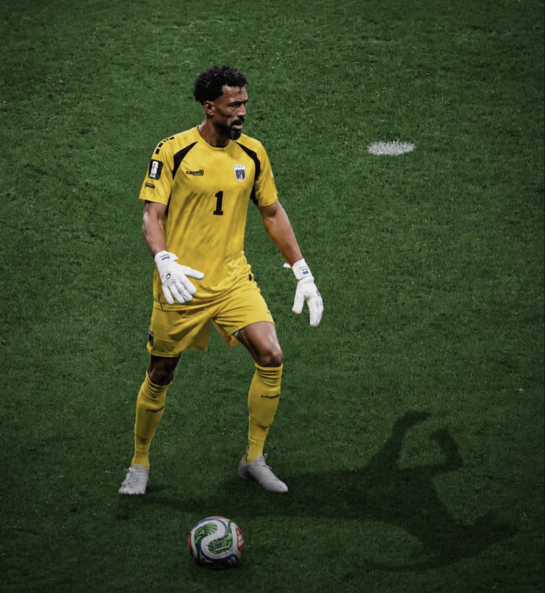 gharkekalesh's tweet photo. Thank you Vozinha for making this World Cup special🫡 https://t.co/12hY6XnOXF