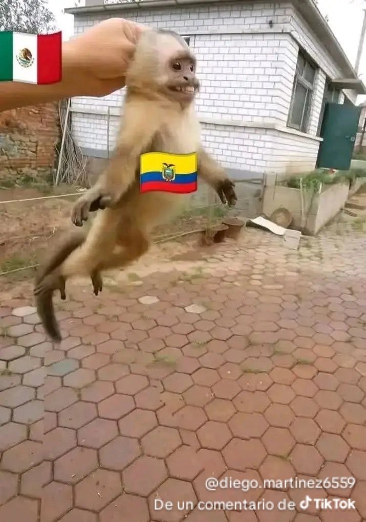 Erick_Cruz8's tweet photo. @didaneta_ https://t.co/yKNgIt6x77