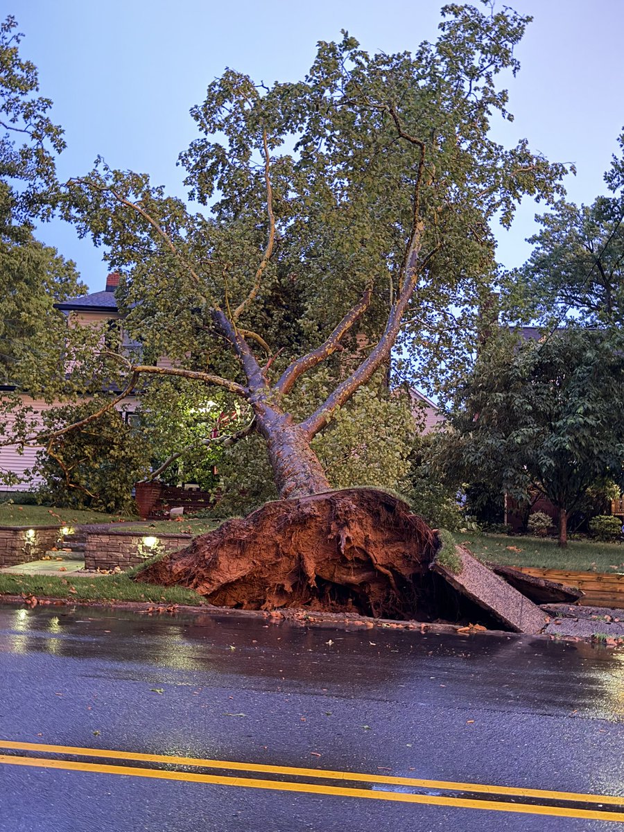 CollinGrossWx's tweet photo. Just some of the pictures I captured of extensive tree damage throughout Metuchen, New Jersey from tonight’s severe storms. #NJwx @nynjpaweather @NWS_MountHolly https://t.co/C9CUHPlI8C