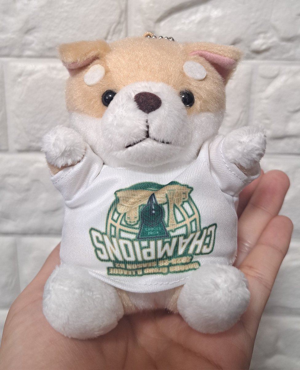 yuiKotohamama's tweet photo. ウチの子(龍弥)も逆さまプリントやったー😭 https://t.co/MODa1CFjEL