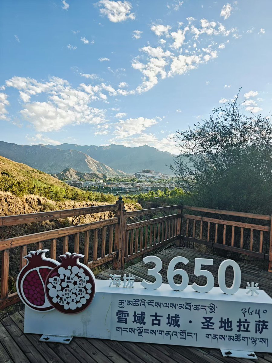 1nXizang's tweet photo. 世间这般美好，若困于俗事烦恼，岂不空负山河，亦负平生。
周末快乐💐 https://t.co/StVsZ4Drx4