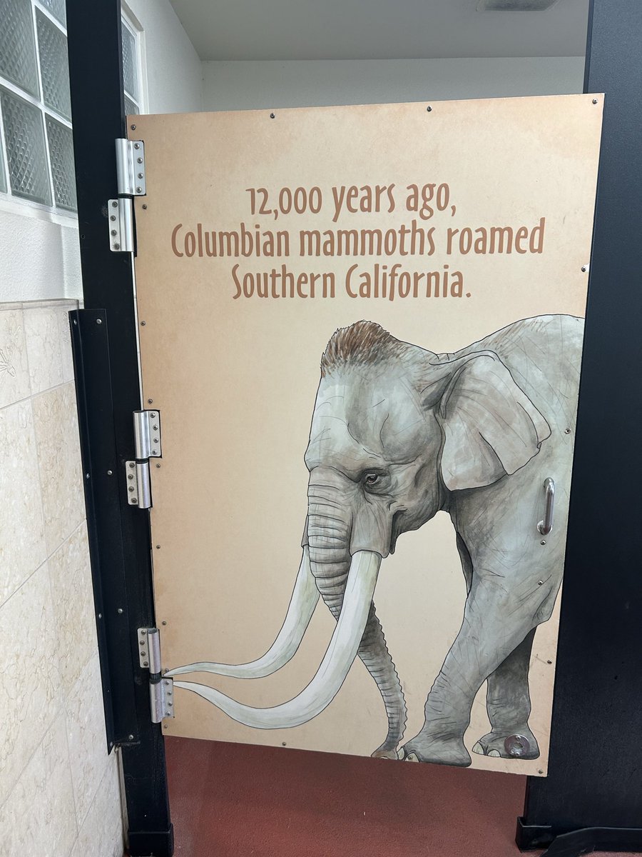 cloudofka's tweet photo. Today was a great time to visit the world famous San Diego zoo. Don’t mind the elephant in the room. On a serious note, kudos to @sandiegozoo for making it a great place to visit! https://t.co/067kheRrf2