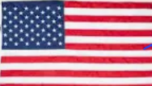 TWarrenNVAD12's tweet photo. If you are offended by this flag...

Go fuck yourself...

With a cactus... https://t.co/qNOvfCQ7qa