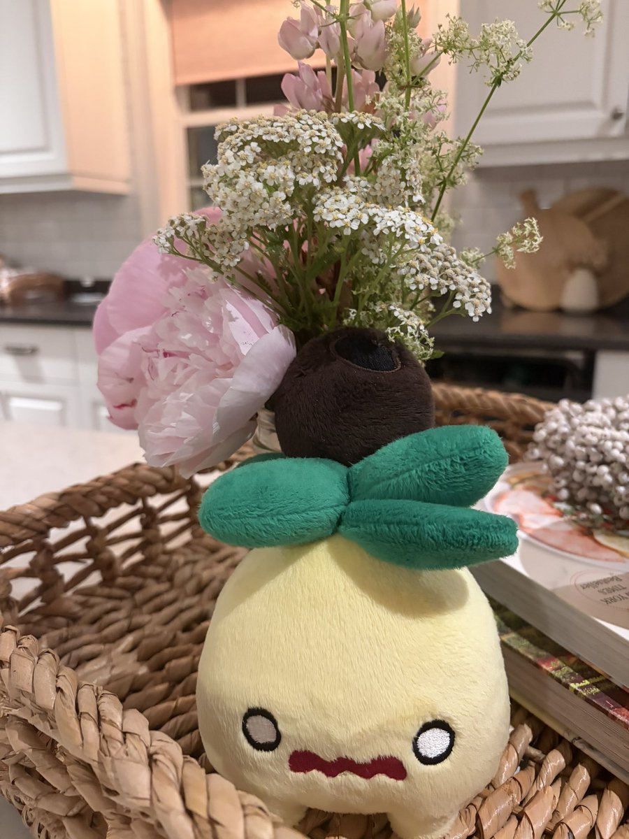 Lin_Endri's tweet photo. Smoliv is enjoying the flowers :) https://t.co/7m8PodayS7