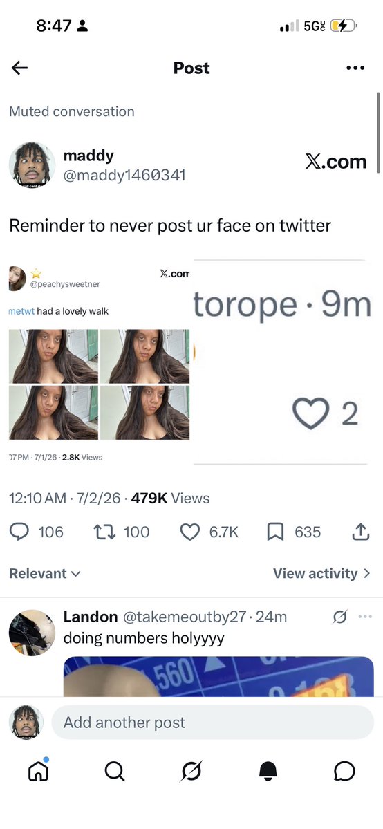 maddy tweet media