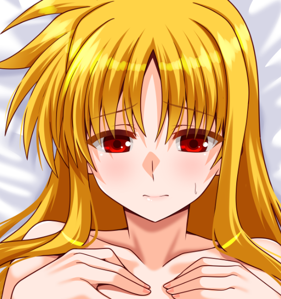 メロンブックスさんのタペストリー企画でフェイトさん作ってみました。