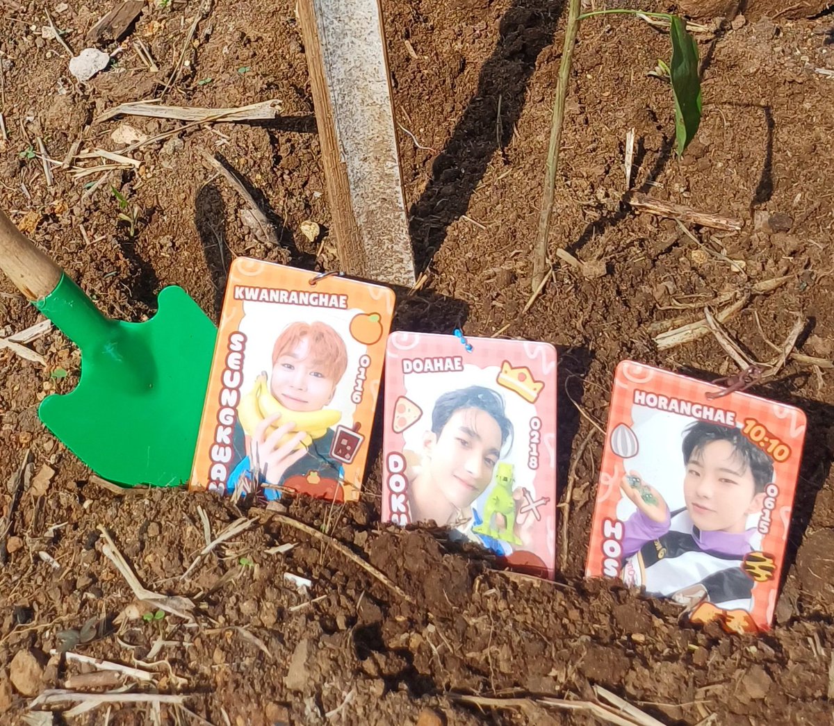 happinessBSSPH's tweet photo. 🌟 Grow well like @pledis_17 and BOOSEOKSOON 🌱

#EarthsMaestro https://t.co/uDtB5ePp3O