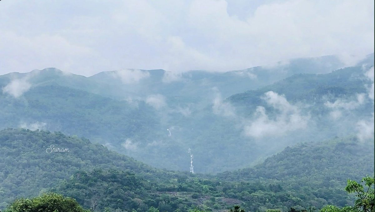 sriramkumar_02's tweet photo. @MegamalaiS Beauty of Rajapalayam Ayyanar falls during monsoon😻. . https://t.co/v6nw76dVIv