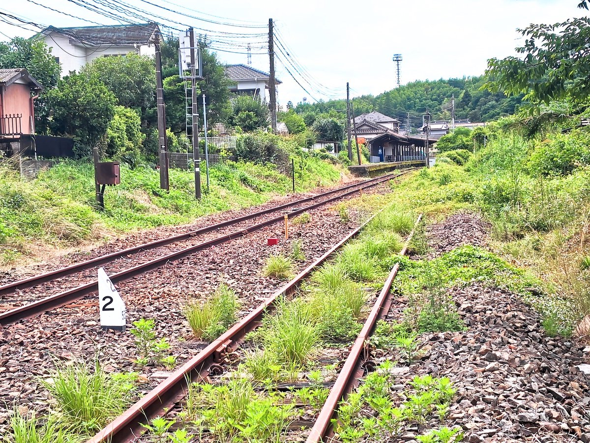 s540817sa's tweet photo. くま川鉄道の相良藩願成寺駅近くの踏切です。
全線開通が待ち遠しいですね👏　試運転も来週から始まります！
雑草が繁っている線路は、肥薩線(山線)です。 https://t.co/oe79D84xKd
