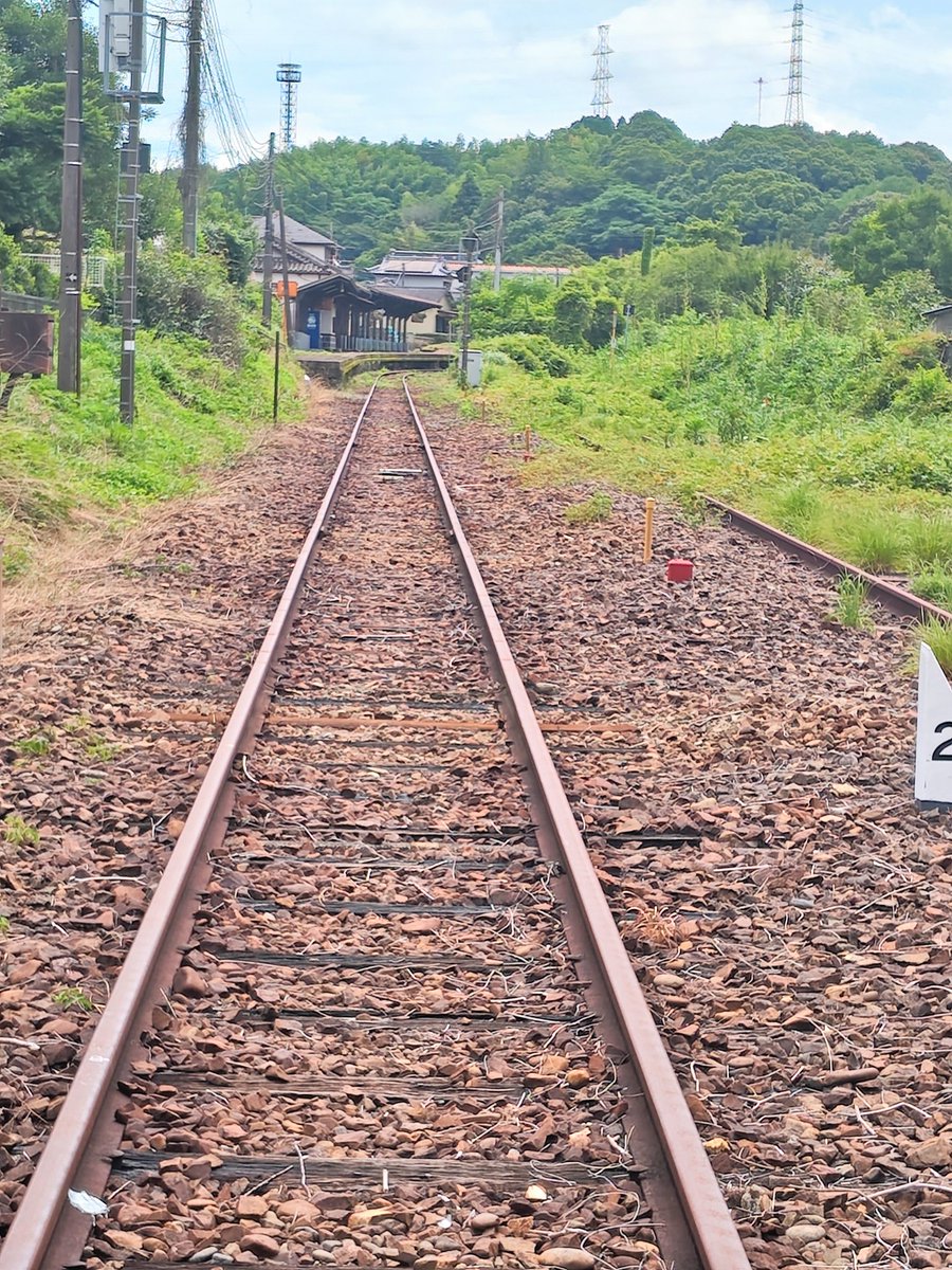 s540817sa's tweet photo. くま川鉄道の相良藩願成寺駅近くの踏切です。
全線開通が待ち遠しいですね👏　試運転も来週から始まります！
雑草が繁っている線路は、肥薩線(山線)です。 https://t.co/oe79D84xKd